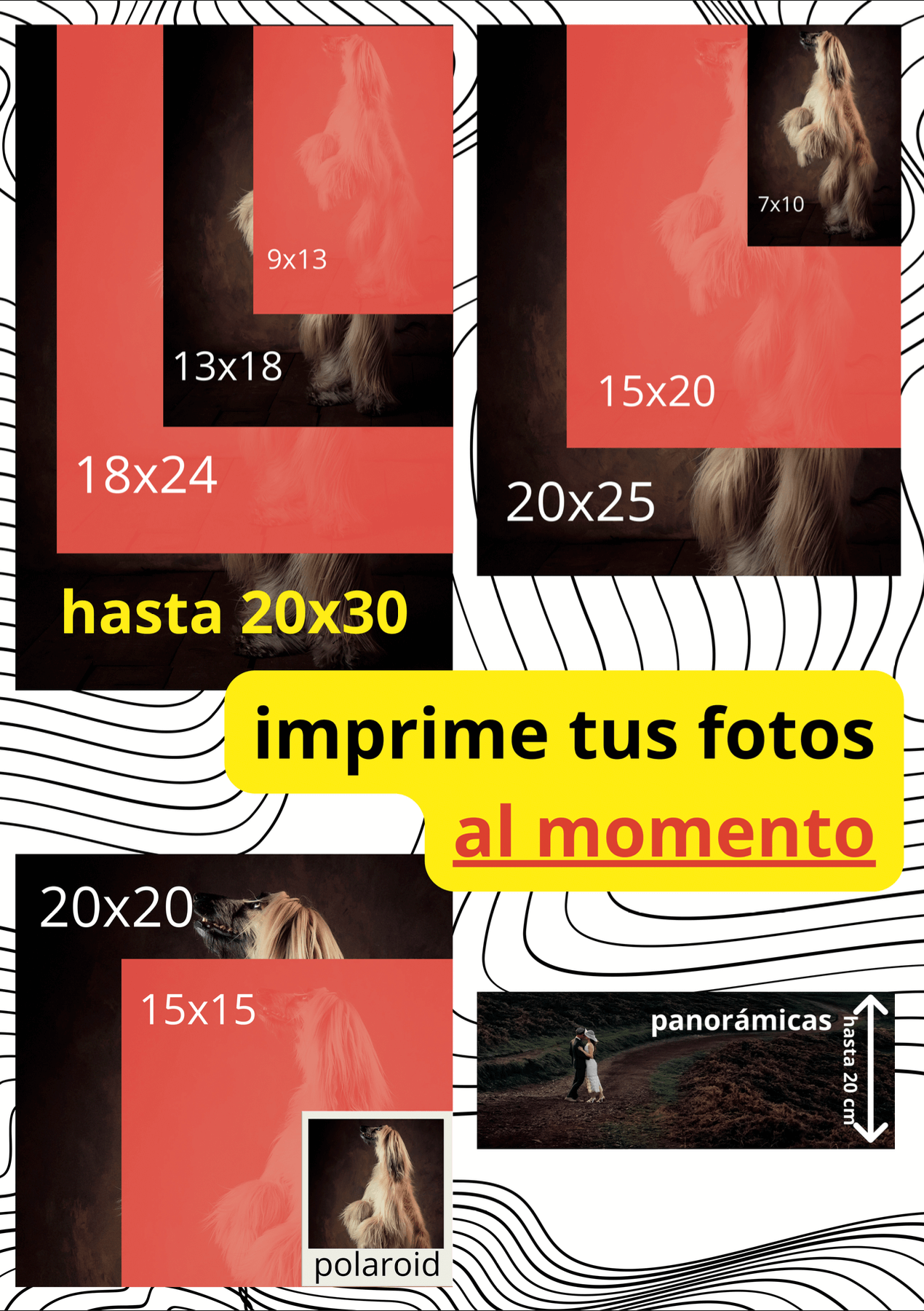Fotógrafos Valladolid | Fotógrafos de Boda | Newborn | Fotografía Infantil | Comuniones | Fotomatón | Mascotas - captura-de-pantalla-2023-02-22-a-las-12-52-44.png