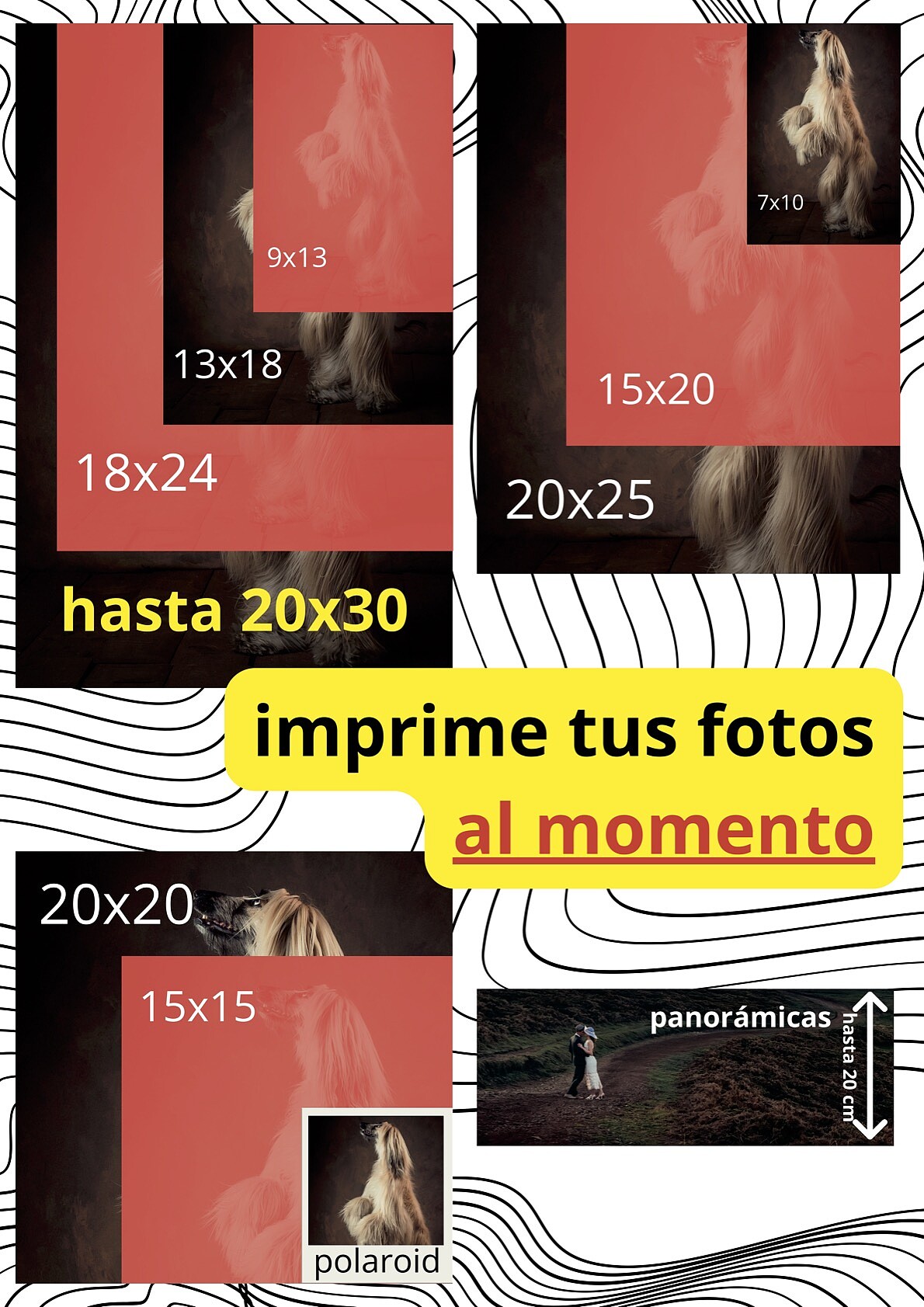 imprime tus fotos al momento