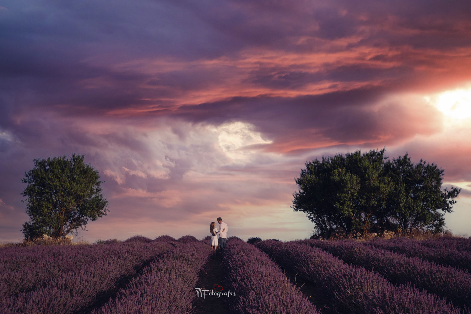 Fotógrafos Valladolid | Fotógrafos de Boda | Newborn | Fotografía Infantil | Comuniones | Fotomatón | Mascotas - fotogafosvalladolid.jpg