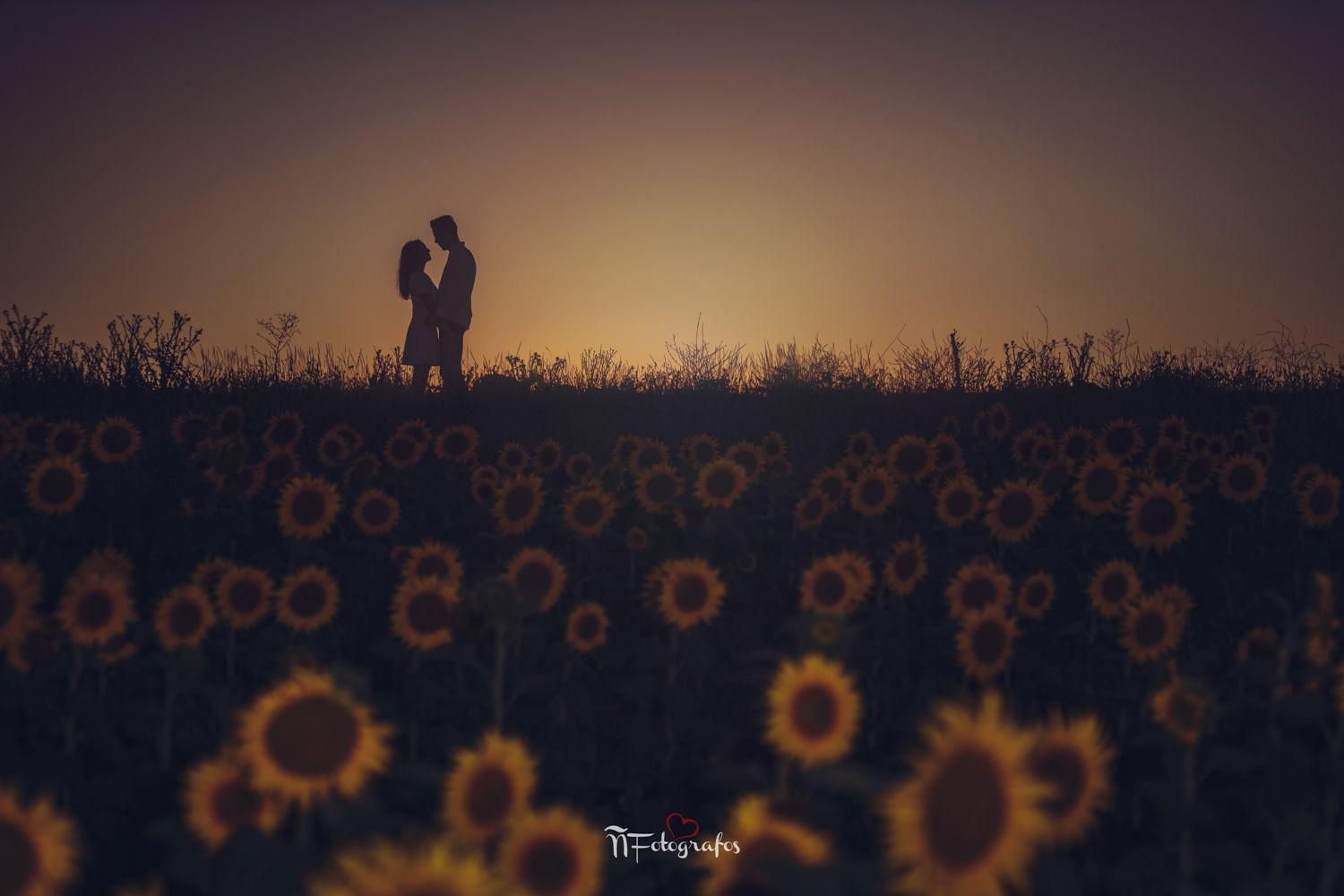 Fotógrafos Valladolid | Fotógrafos de Boda | Newborn | Fotografía Infantil | Comuniones | Fotomatón | Mascotas - fotos-de-pareja.jpg
