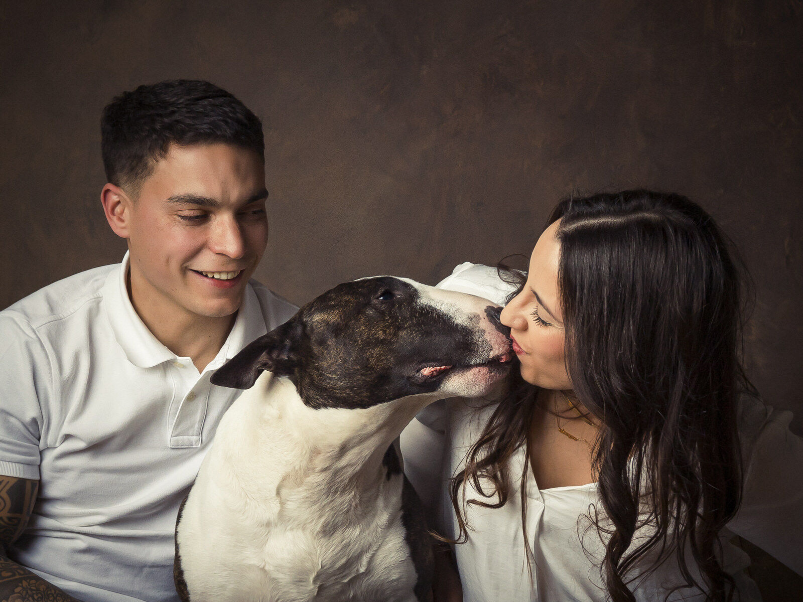 Fotógrafo de perros valladolid bullterrier