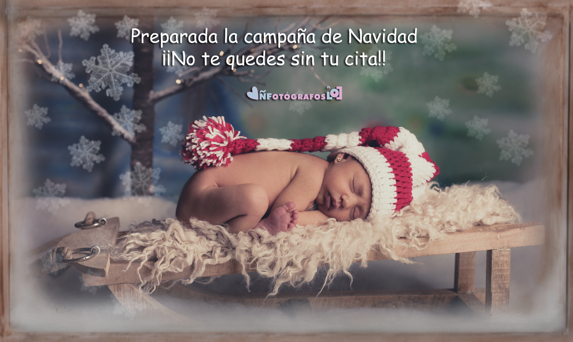 navidad ÑF 2015