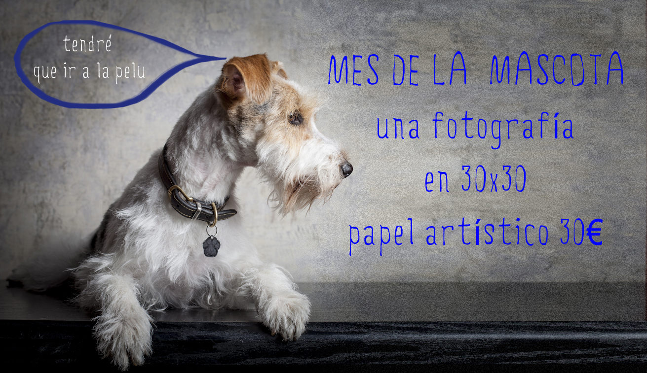 Ñ Fotógrafos  - mascota.jpg